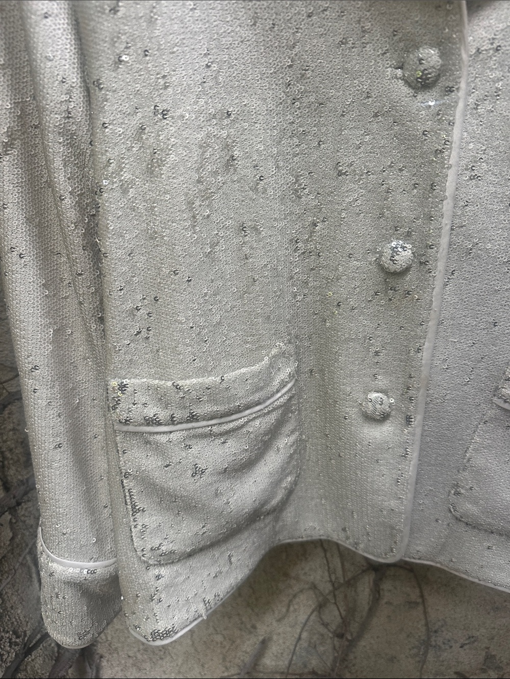 Alexie Ripley Sequined  Jacket - Picture 5 of 8